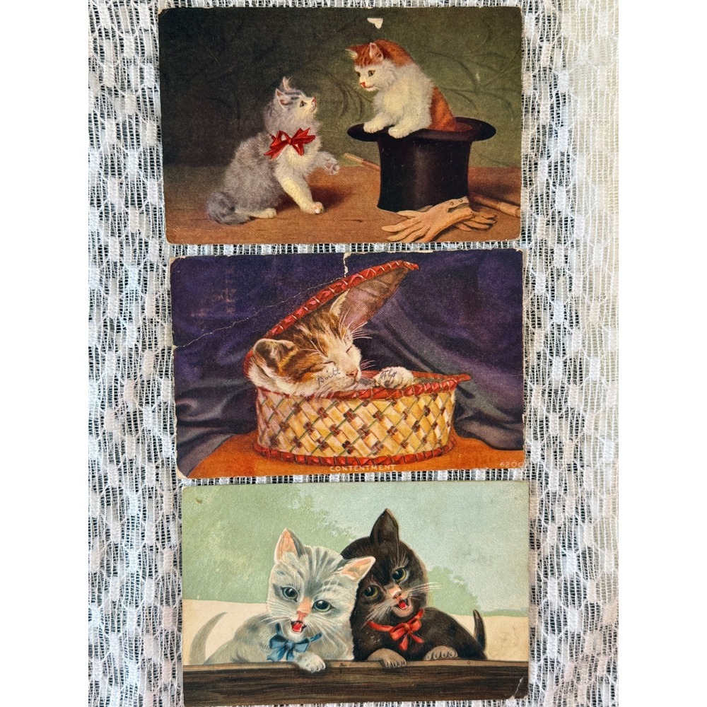 Vintage Antique Kitten Postcards Lot 3 Lithograph Cat Ephemera 1909-1912 Germany